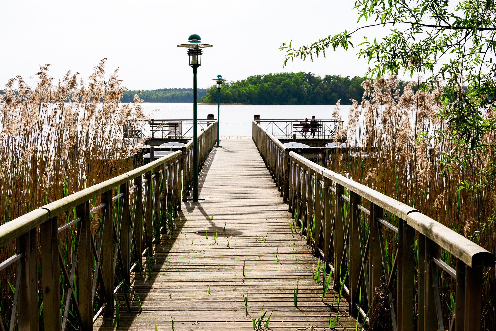 Ein Steg führt zu einem See hin 